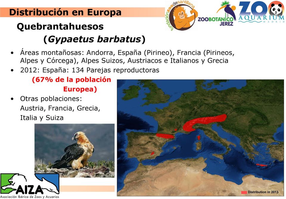 Italianos y Grecia 2012: España: 134 Parejas reproductoras (67% de la población