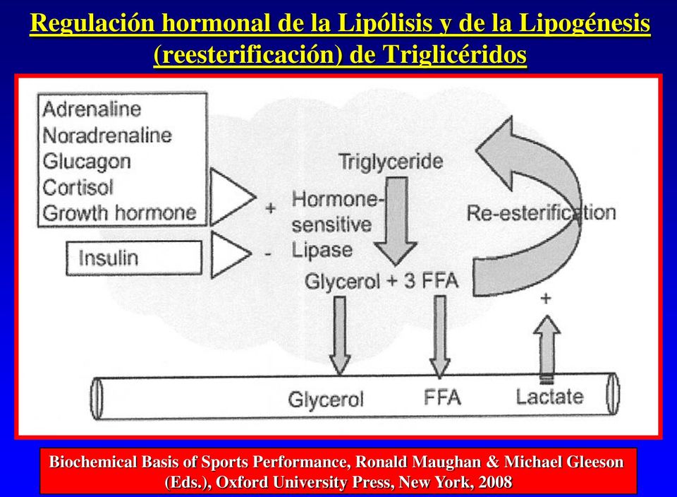 Biochemical Basis of Sports Performance, Ronald
