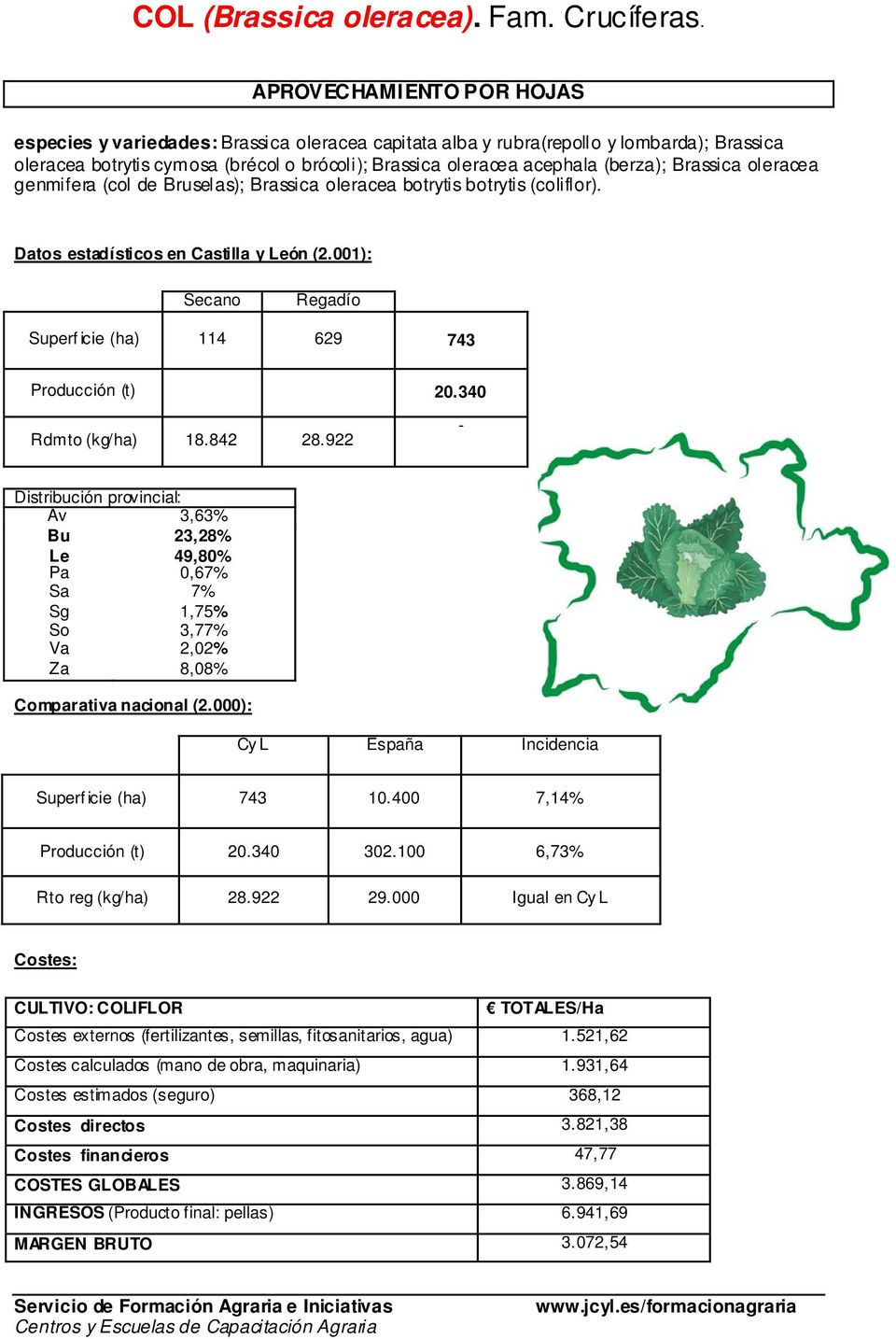 Brassica oleracea genmifera (col de Bruselas); Brassica oleracea botrytis botrytis (coliflor). Datos estadísticos en Castilla y León (2.