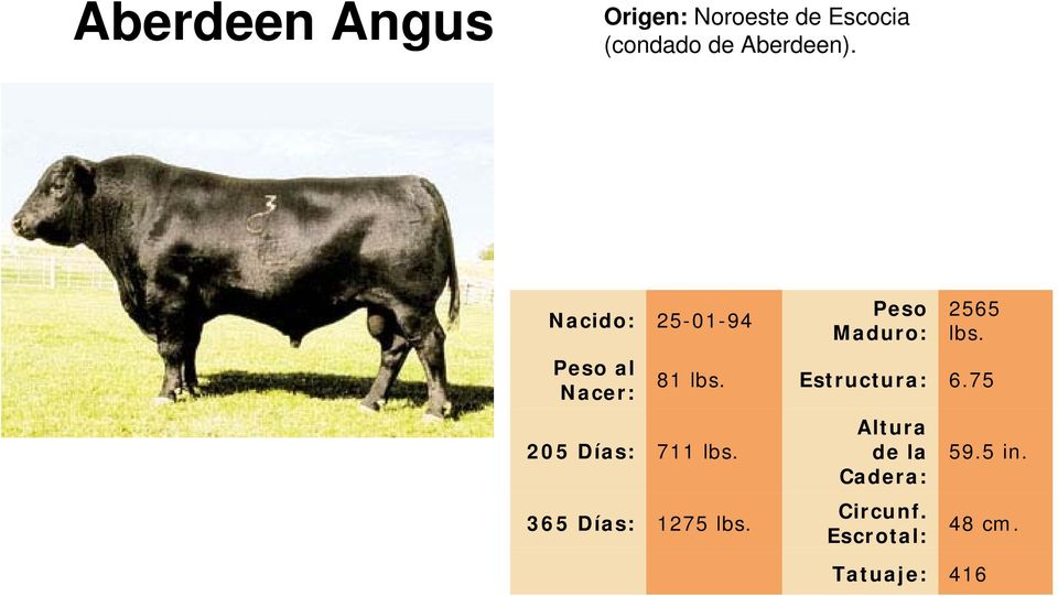 365 Días: 1275 lbs. Maduro: 2565 lbs. 81 lbs. Estructura: 6.