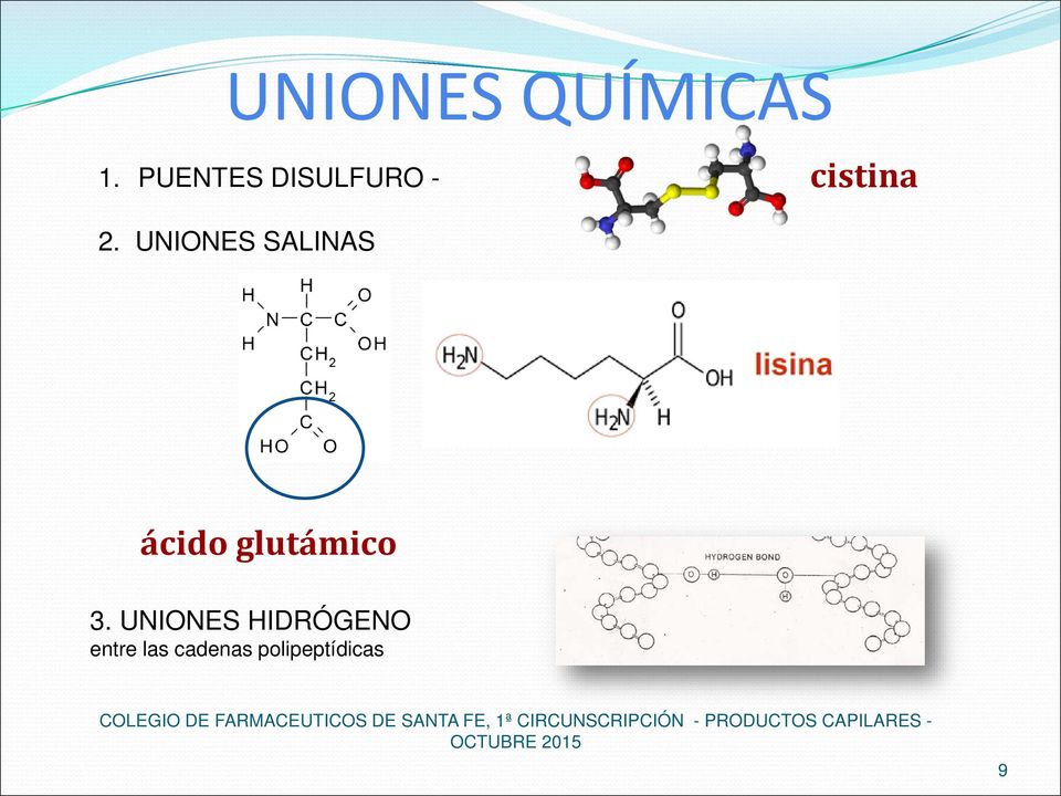 UNIONES SALINAS ácido glutámico 3.