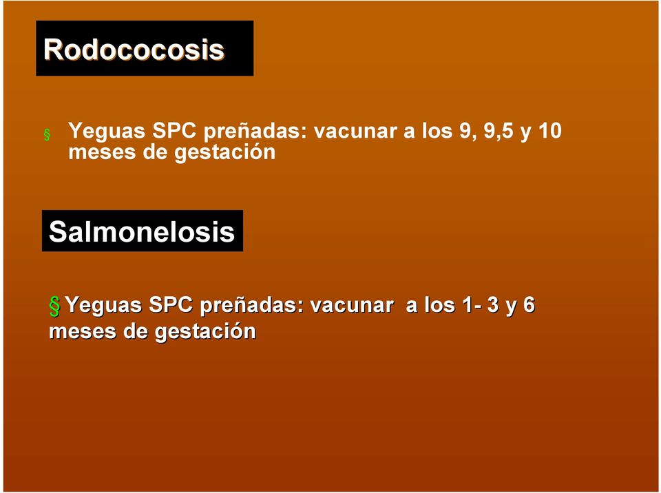 gestación Salmonelosis Yeguas SPC