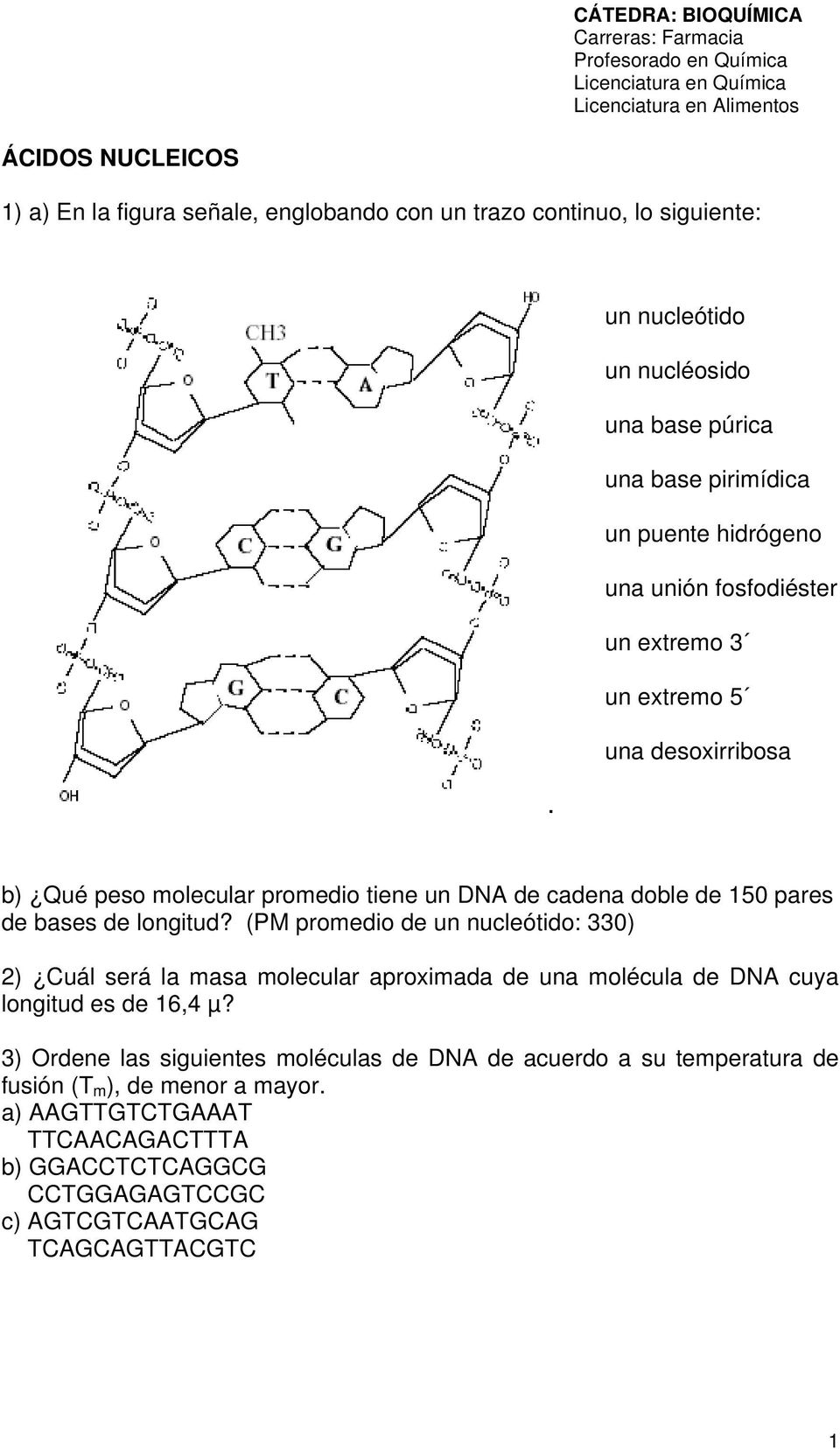 tiene un DNA de cadena doble de 150 pares de bases de longitud? (PM promedio de un nucleótido: 330) 2) Cuál será la masa molecular aproximada de una molécula de DNA cuya longitud es de 16,4 µ?
