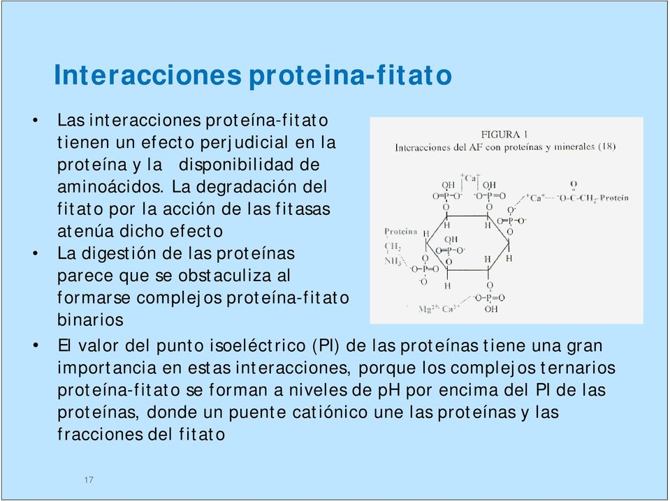 proteína-fitato binarios El valor del punto isoeléctrico (PI) de las proteínas tiene una gran importancia en estas interacciones, porque los complejos