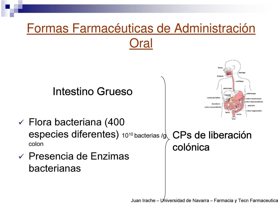colon Presencia de Enzimas bacterianas CPs de liberación