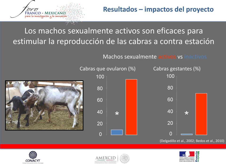 Machos sexualmente activos vs inactivos Cabras que ovularon (%) Cabras