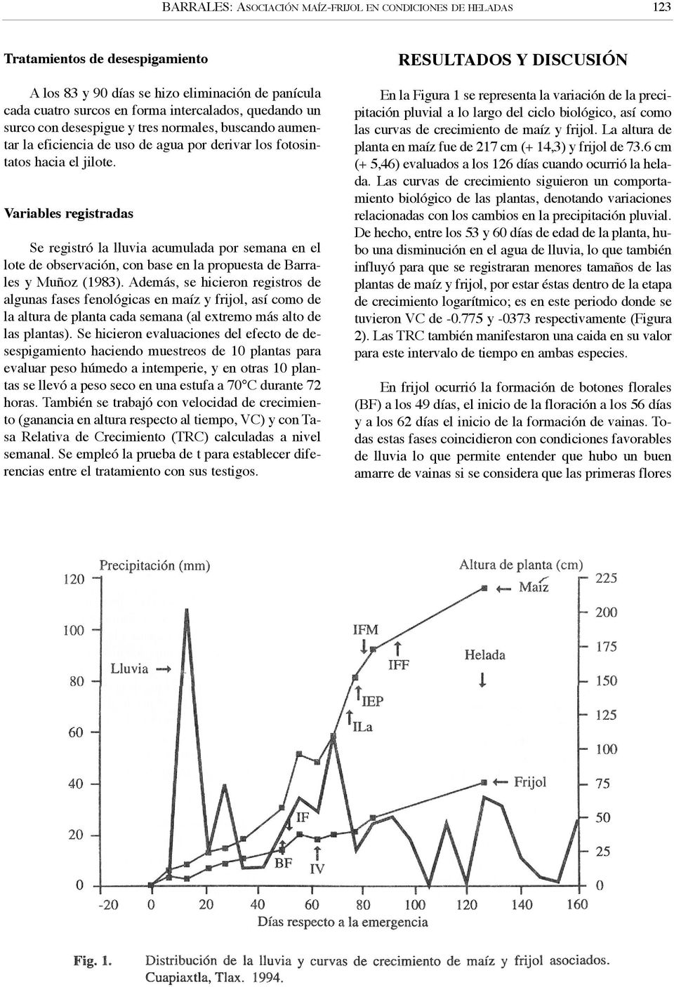 Variables registradas Se registró la lluvia acumulada por semana en el lote de observación, con base en la propuesta de Barrales y Muñoz (1983).