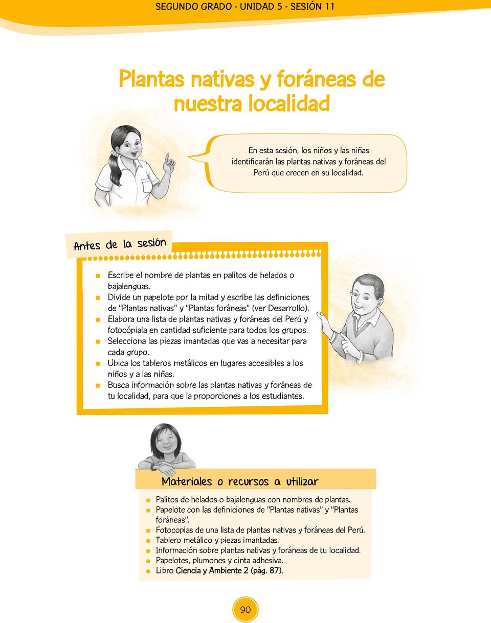 Divide un papelote por la mitad y escribe las definiciones de Plantas nativas y Plantas foráneas (ver Desarrollo).