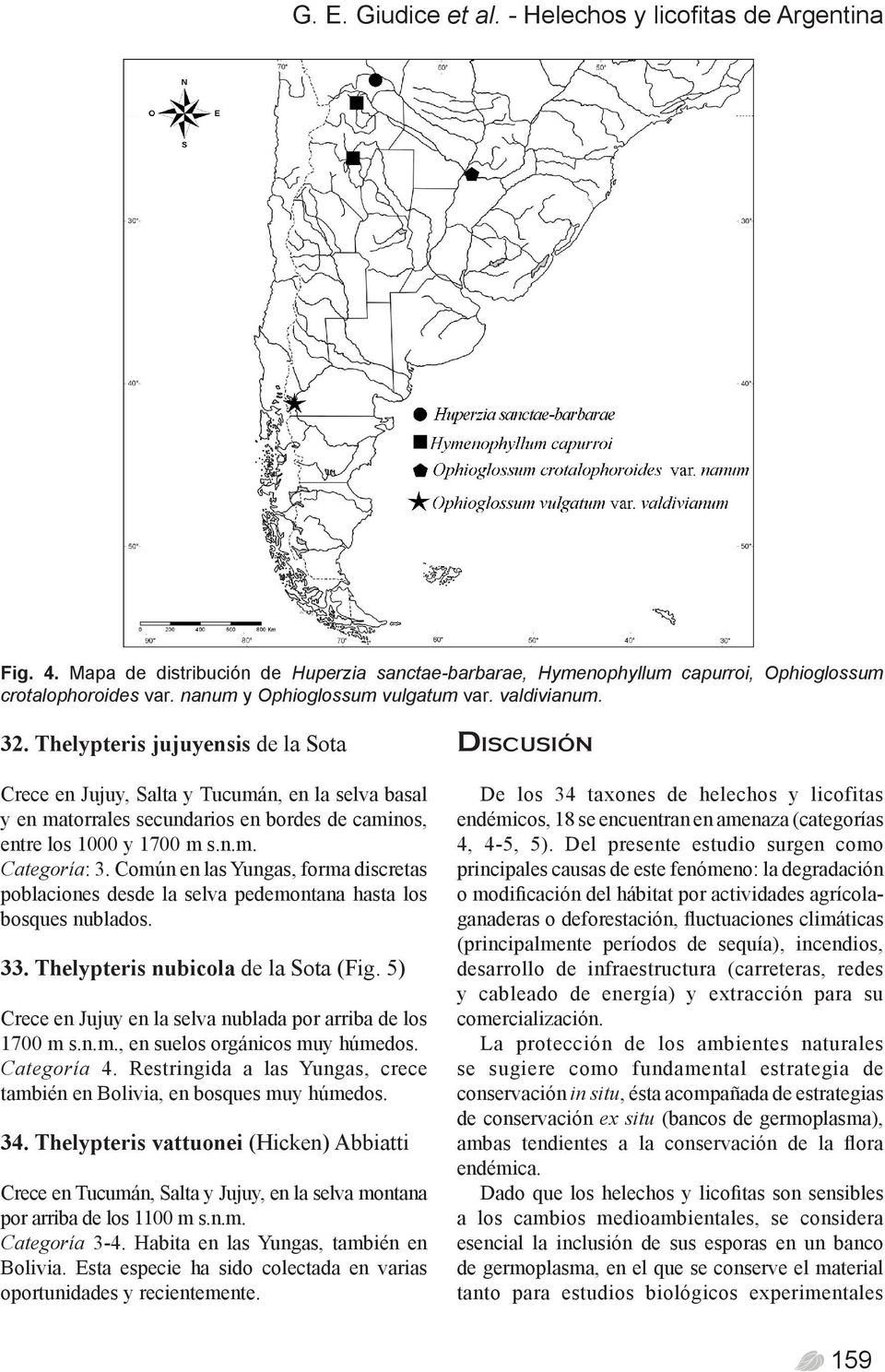 Thelypteris jujuyensis de la Sota Crece en Jujuy, Salta y Tucumán, en la selva basal y en matorrales secundarios en bordes de caminos, entre los 1000 y 1700 m s.n.m. Categoría: 3.