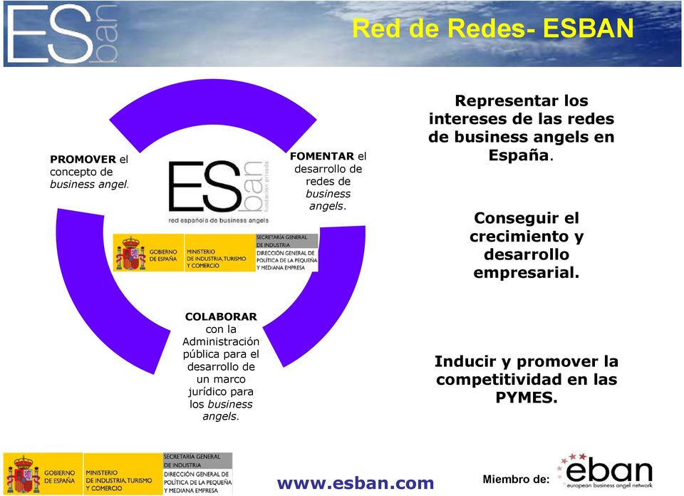 Representar los intereses de las redes de business angels en España.