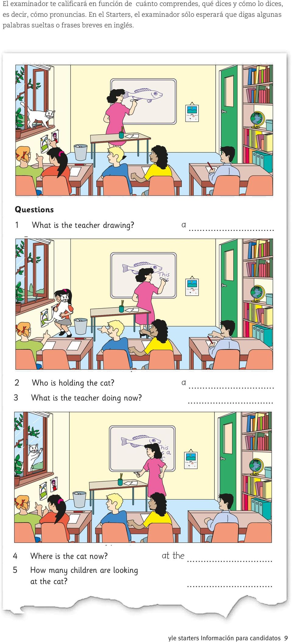 Questions 1 What is the teacher drawing? a... 2 Who is holding the cat? a... 3 What is the teacher doing now?