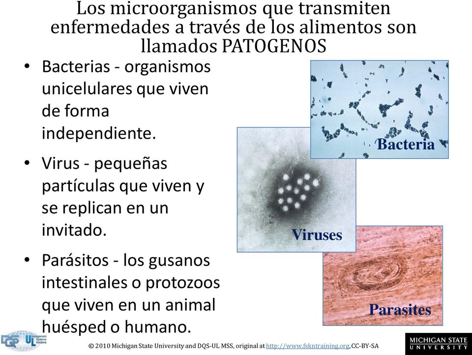 Virus - pequeñas partículas que viven y se replican en un invitado.