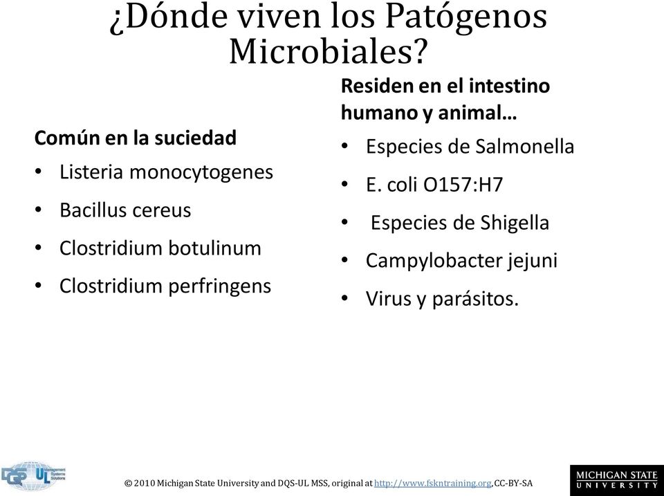 Clostridium botulinum Clostridium perfringens Residen en el intestino