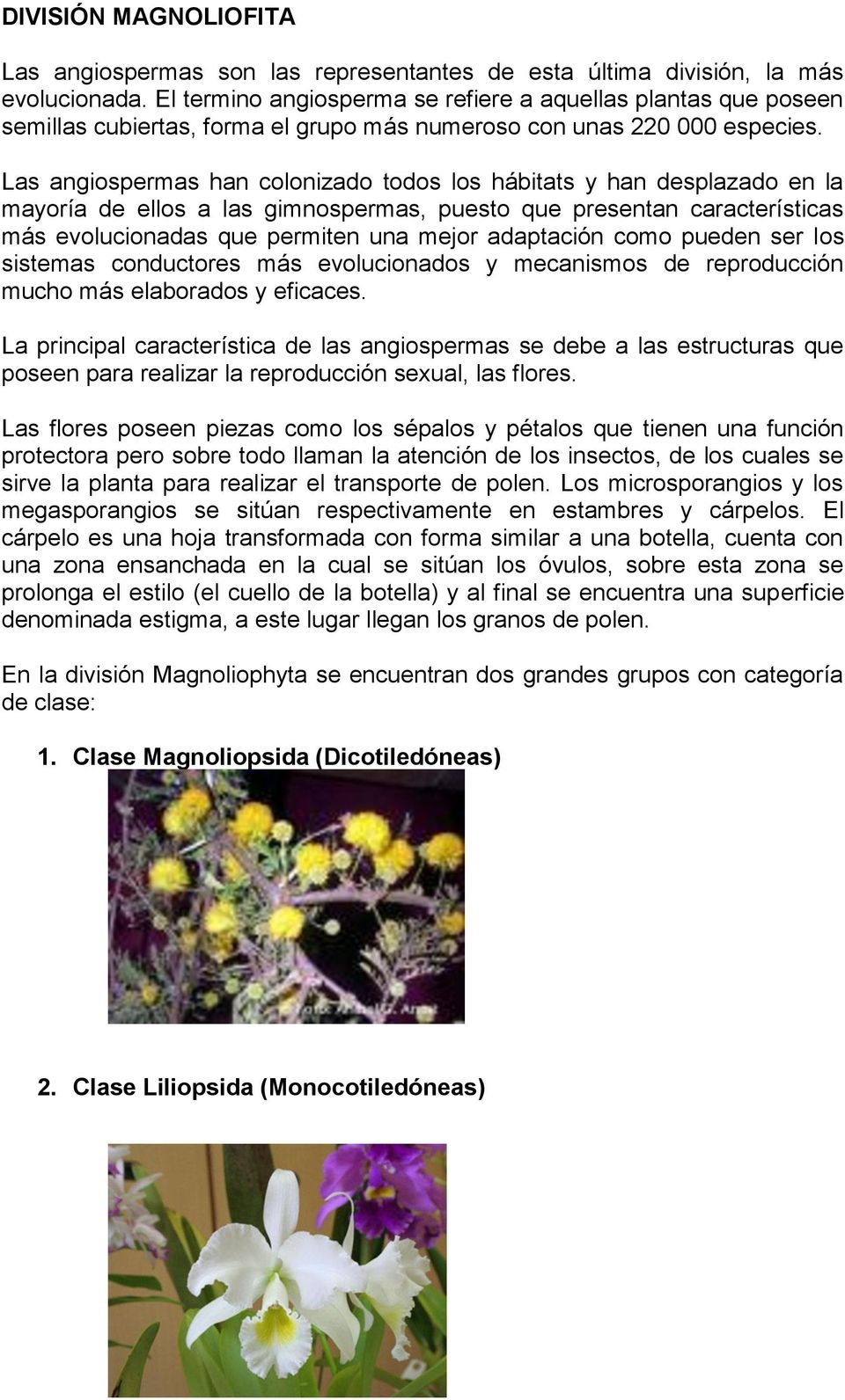 Las angiospermas han colonizado todos los hábitats y han desplazado en la mayoría de ellos a las gimnospermas, puesto que presentan características más evolucionadas que permiten una mejor adaptación