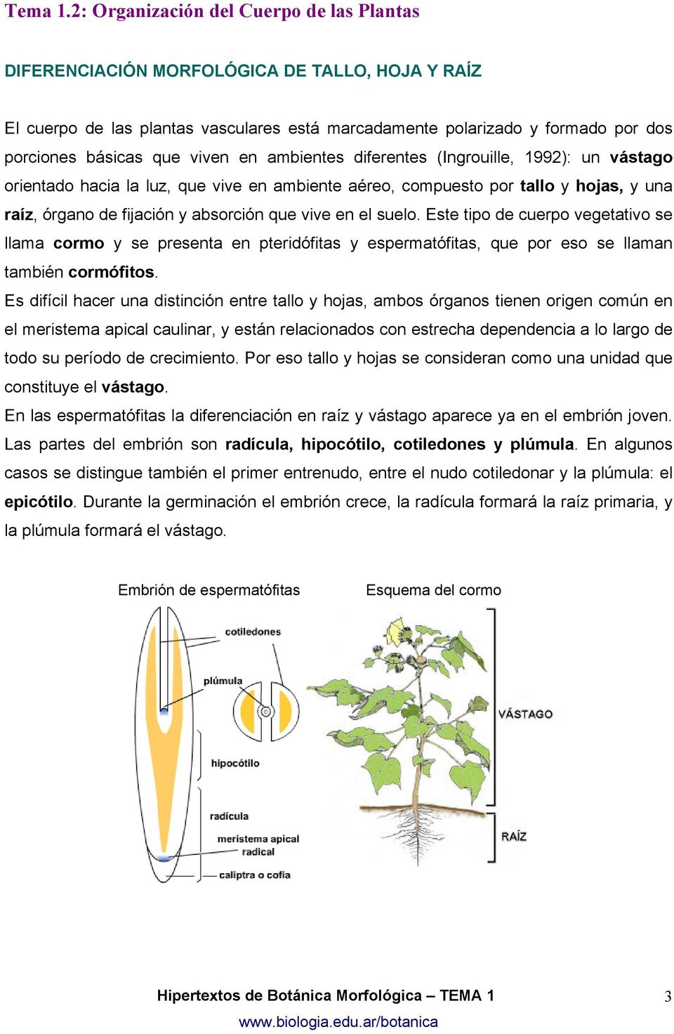 viven en ambientes diferentes (Ingrouille, 1992): un vástago orientado hacia la luz, que vive en ambiente aéreo, compuesto por tallo y hojas, y una raíz, órgano de fijación y absorción que vive en el