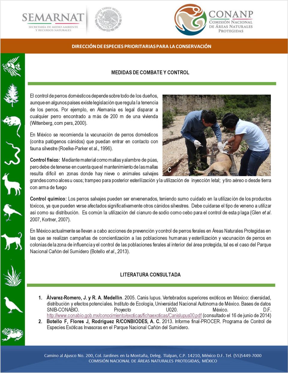 En México se recomienda la vacunación de perros domésticos (contra patógenos cánidos) que puedan entrar en contacto con fauna silvestre (Roelke-Parker et al., 1996).