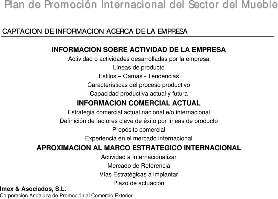 comercial actual nacional e/o internacional Definición de factores clave de éxito por líneas de producto Propósito comercial Experiencia en el mercado