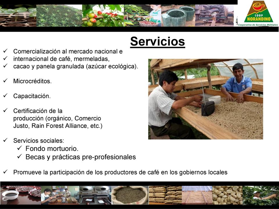 Certificación de la producción (orgánico, Comercio Justo, Rain Forest Alliance, etc.