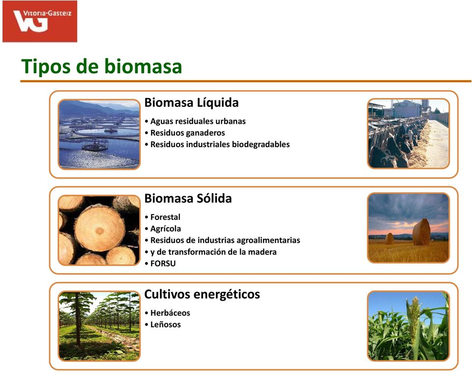 Biomasa Sólida Forestal Agrícola Residuos de industrias