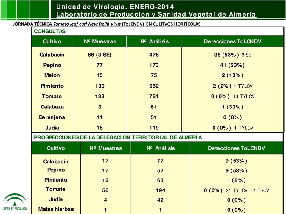 (53%) 3 SE Pepino 77 173 41 (53%) Melón 15 75 2 (13%) Pimiento 130 652 2 (2%) 1 TYLCV Tomate 133 751 0 (0%) 10 TYLCV Calabaza 3 61 1 (33%) Berenjena 11 51