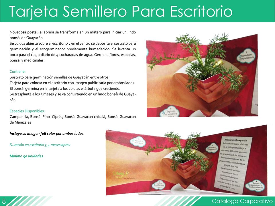 Contiene: Sustrato para germinación semillas de Guayacán entre otros Tarjeta para colocar en el escritorio con imagen publicitaria por ambos lados El bonsái germina en la tarjeta a los 20 días el