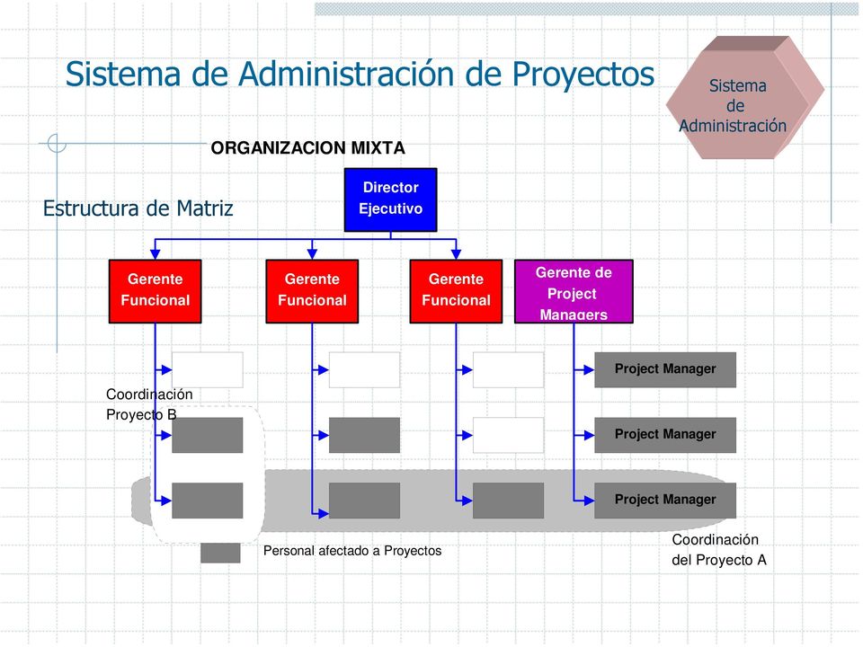 Funcional Gerente de Project Managers Project Manager Coordinación Proyecto B