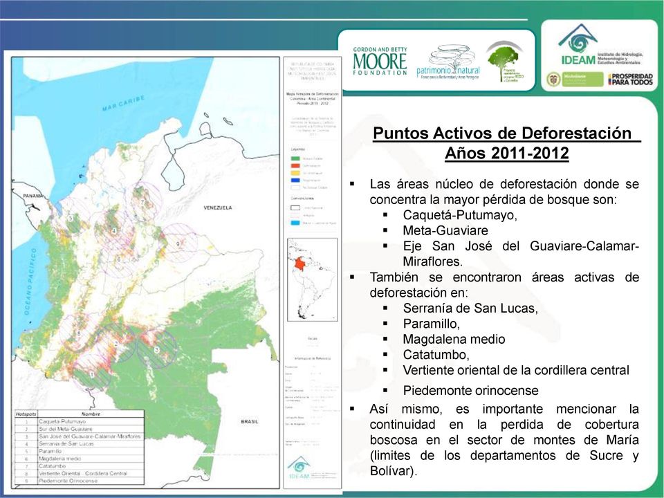 También se encontraron áreas activas de deforestación en: Serranía de San Lucas, Paramillo, Magdalena medio Catatumbo, Vertiente oriental de