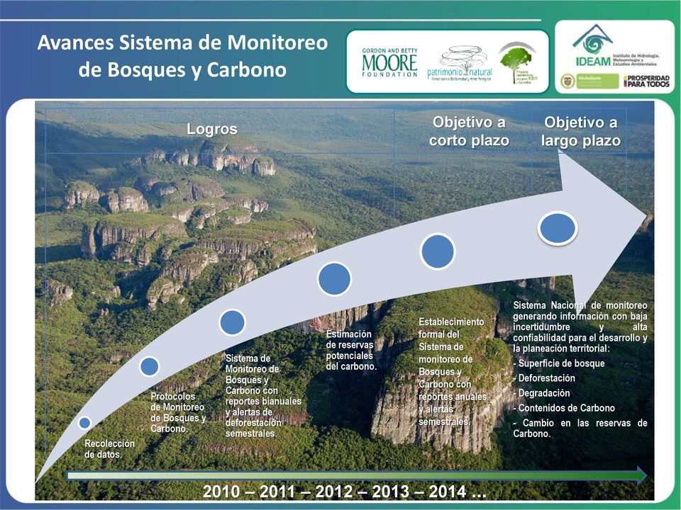 Establecimiento formal del Sistema de monitoreo de Bosques y Carbono con reportes anuales y alertas semestrales.