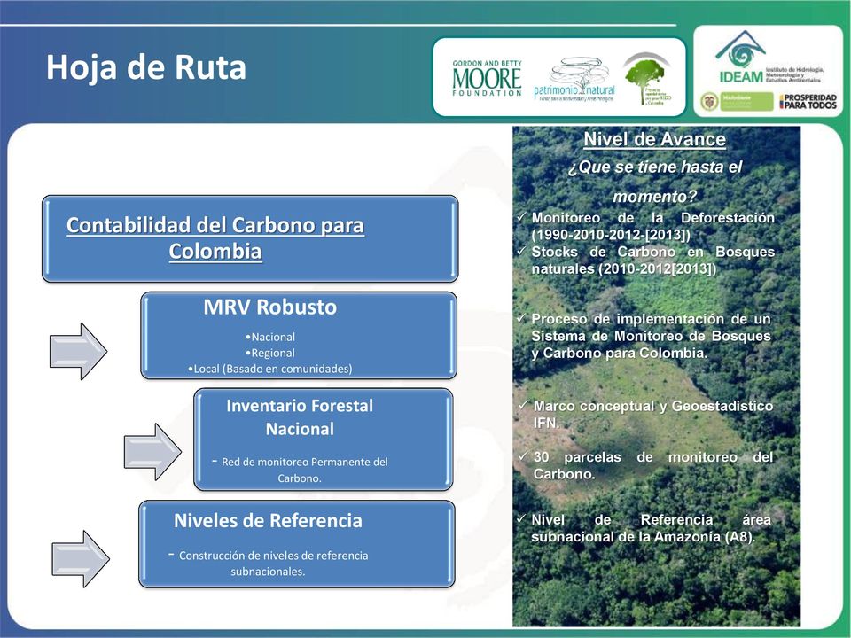 Monitoreo de la Deforestación (1990-2010-2012-[2013]) Stocks de Carbono en Bosques naturales (2010-2012[2013]) Proceso de implementación de un Sistema de