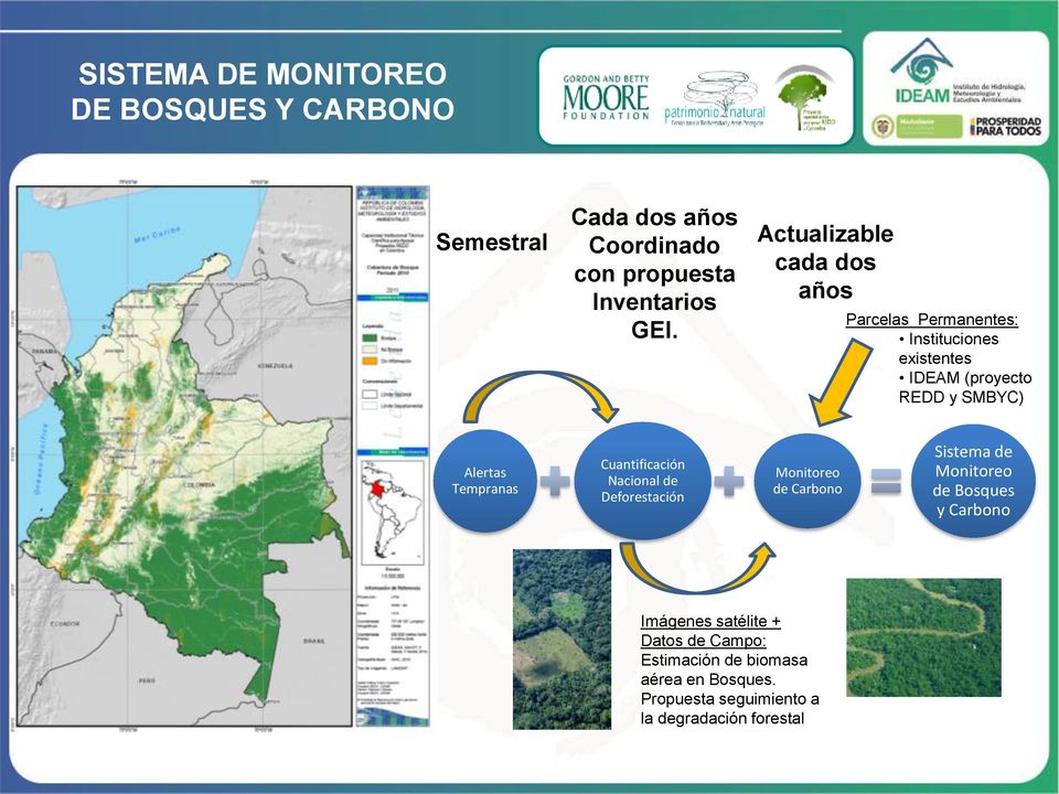 Tempranas Cuantificación Nacional de Deforestación Monitoreo de Carbono Sistema de Monitoreo de Bosques y Carbono