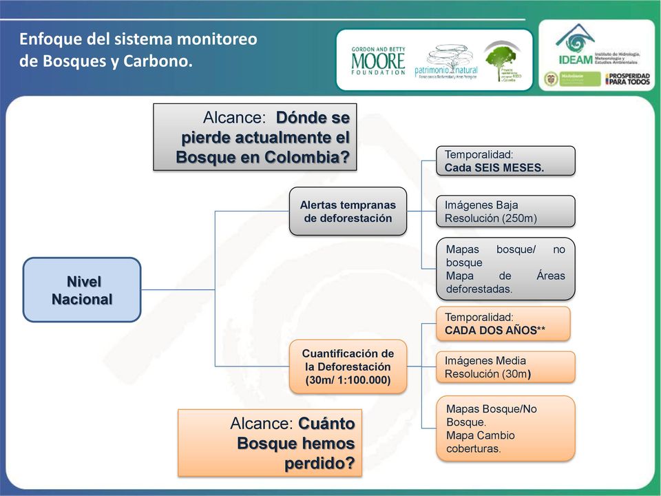 Alertas tempranas de deforestación Imágenes Baja Resolución (250m) Nivel Nacional Mapas bosque/ no bosque Mapa de