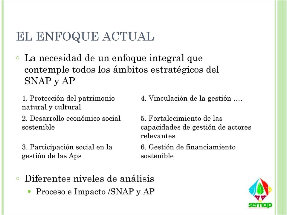 Participación social en la gestión de las Aps Diferentes niveles de análisis Proceso e Impacto /SNAP y AP 4.