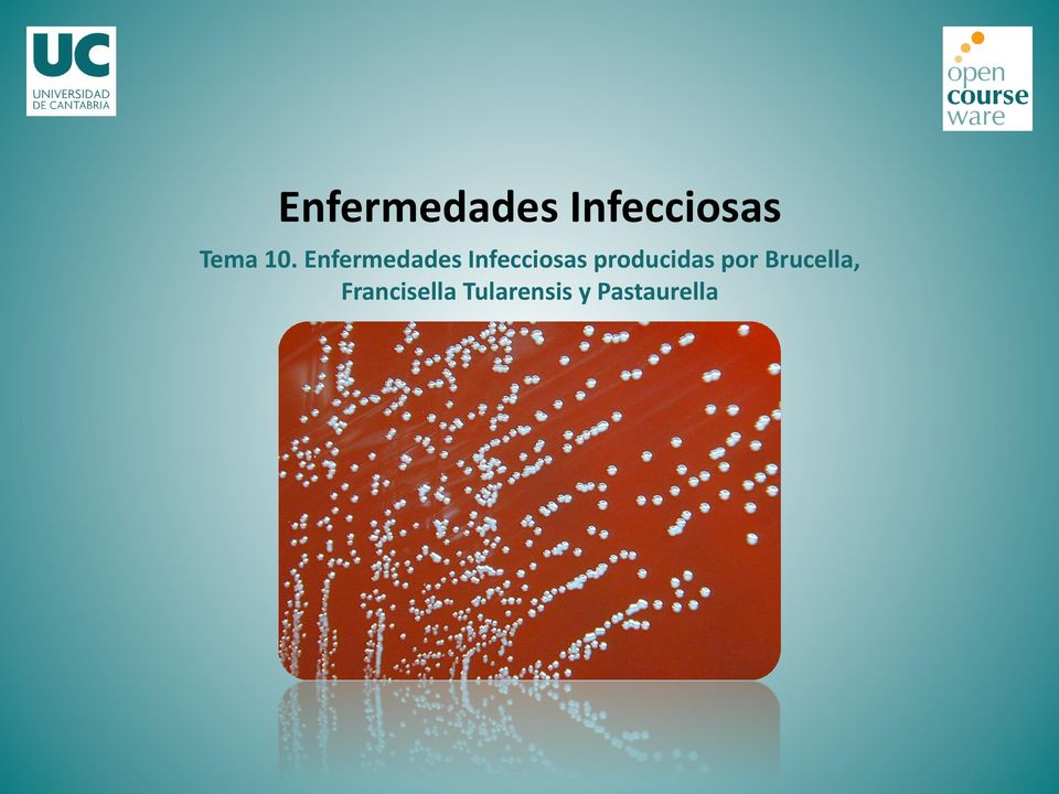 Infecciosas producidas