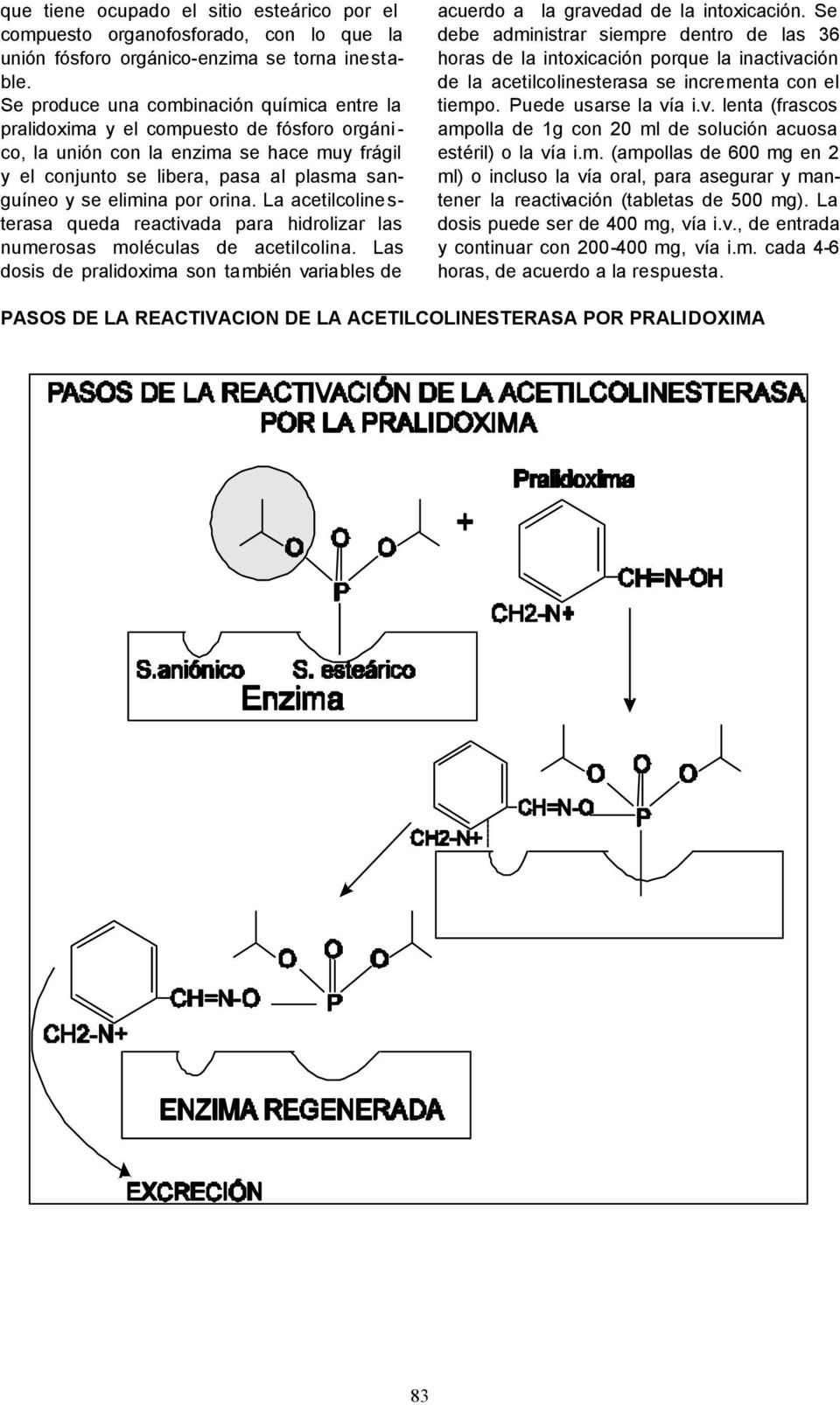 por orina. La acetilcolinesterasa queda reactivada para hidrolizar las numerosas moléculas de acetilcolina. Las dosis de pralidoxima son también variables de acuerdo a la gravedad de la intoxicación.
