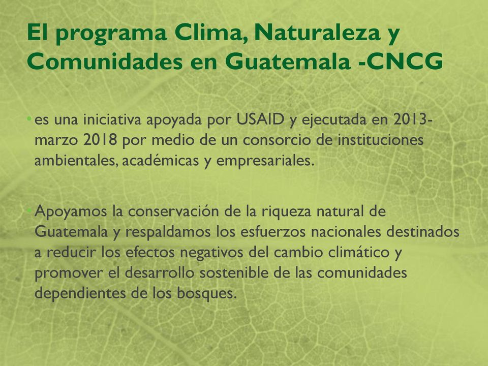 Apoyamos la conservación de la riqueza natural de Guatemala y respaldamos los esfuerzos nacionales destinados a