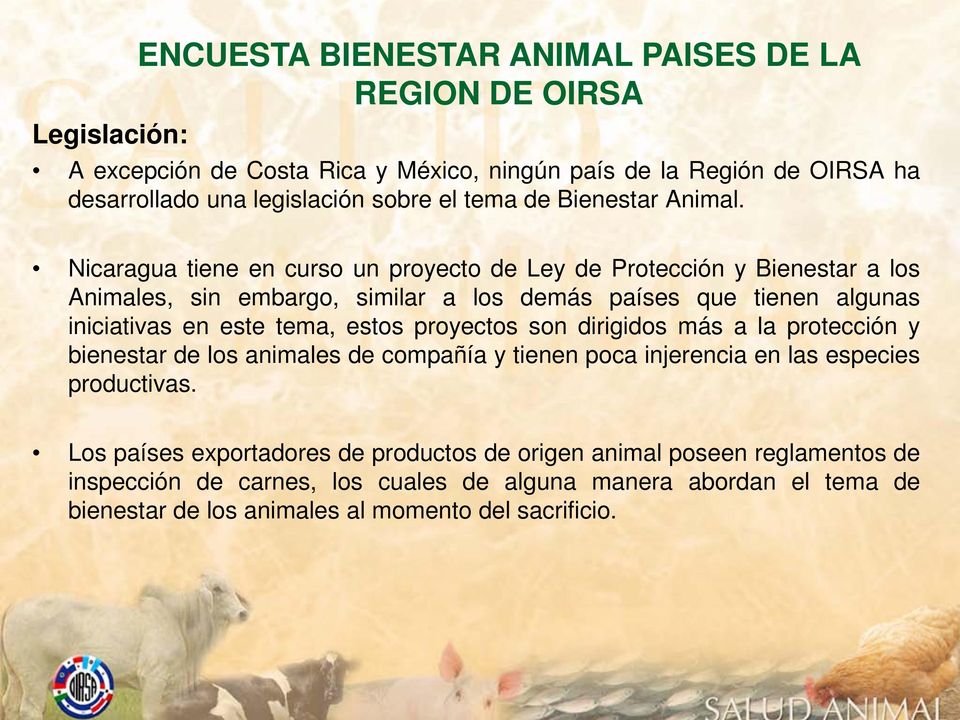 Nicaragua tiene en curso un proyecto de Ley de Protección y Bienestar a los Animales, sin embargo, similar a los demás países que tienen algunas iniciativas en este tema,