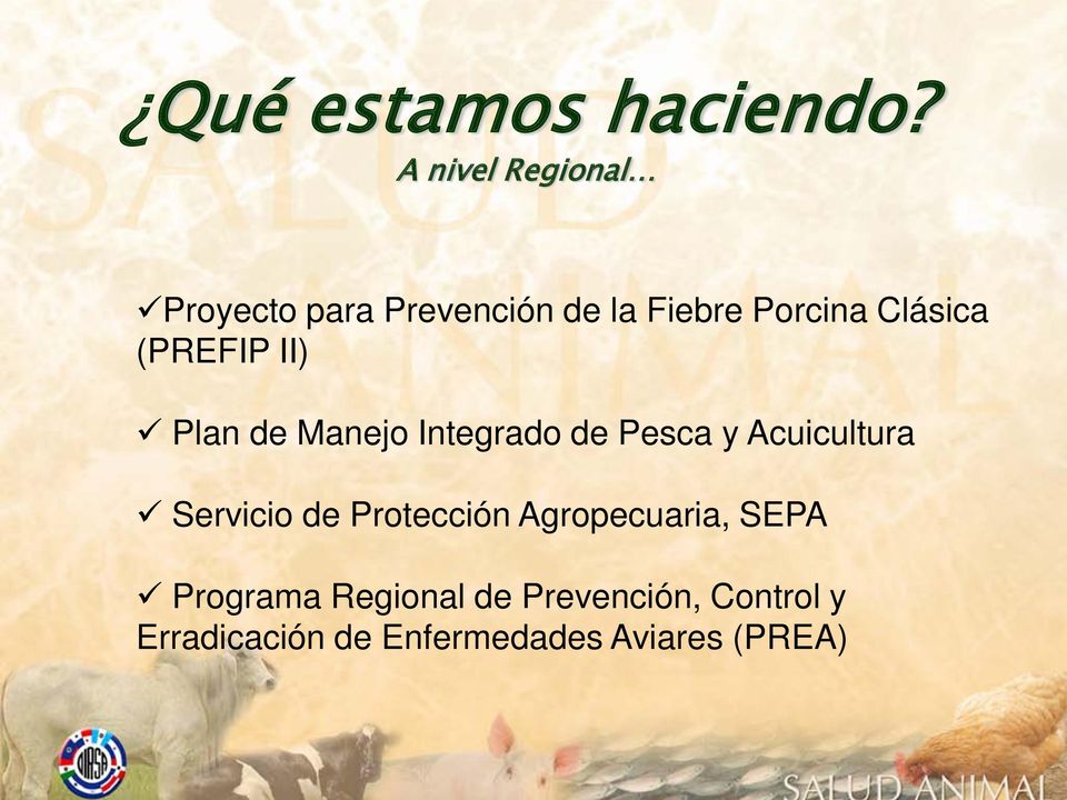 (PREFIP II) Plan de Manejo Integrado de Pesca y Acuicultura Servicio