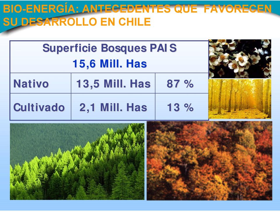 Bosques PAIS 15,6 Mill.