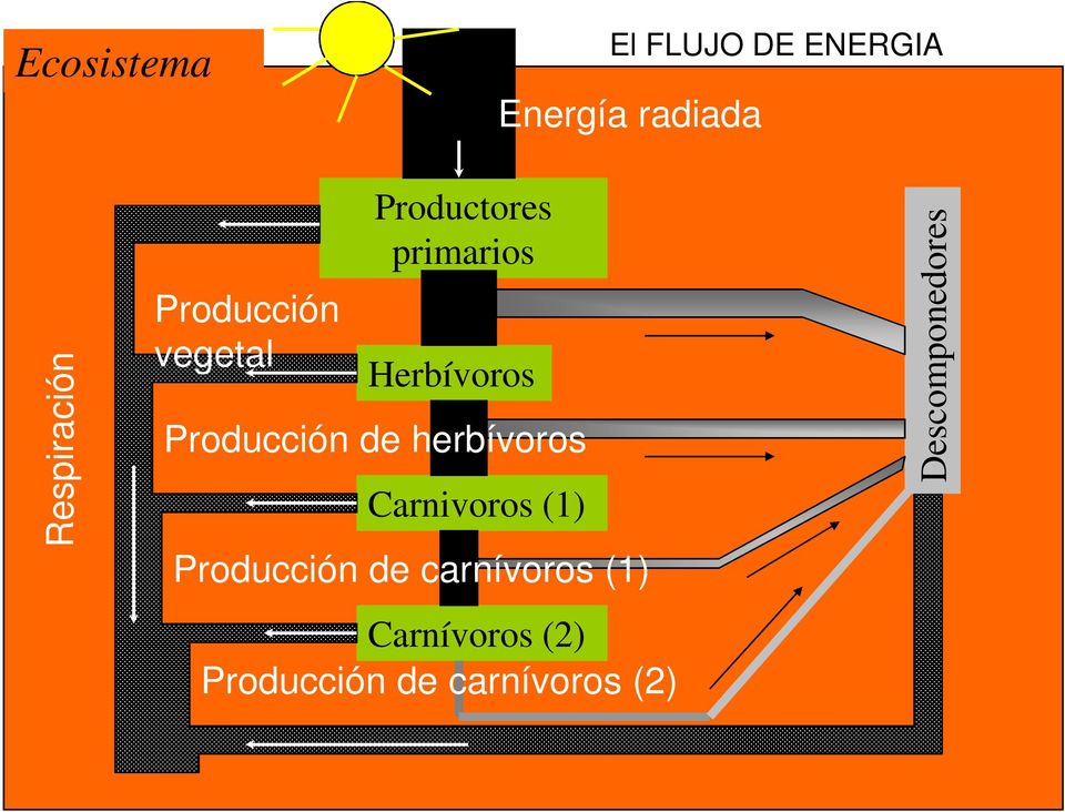 Producción de herbívoros Carnivoros (1) Producción de