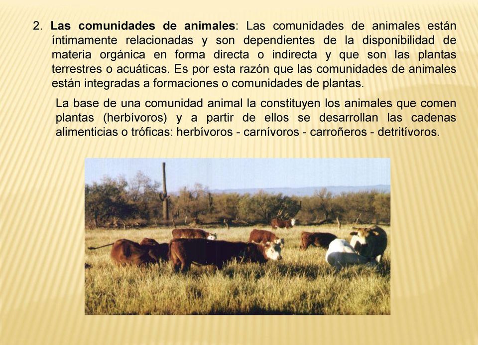 Es por esta razón que las comunidades de animales están integradas a formaciones o comunidades de plantas.