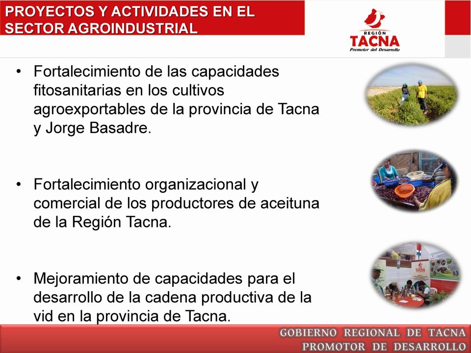 Fortalecimiento organizacional y comercial de los productores de aceituna de la Región Tacna.