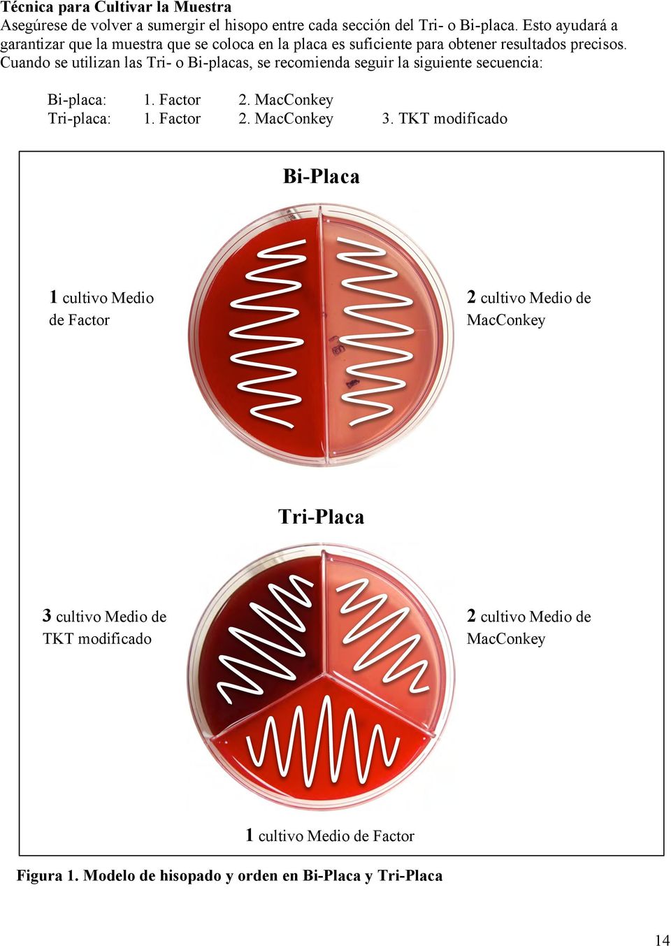 Cuando se utilizan las Tri- o Bi-placas, se recomienda seguir la siguiente secuencia: Bi-placa: 1. Factor 2. MacConkey Tri-placa: 1. Factor 2. MacConkey 3.
