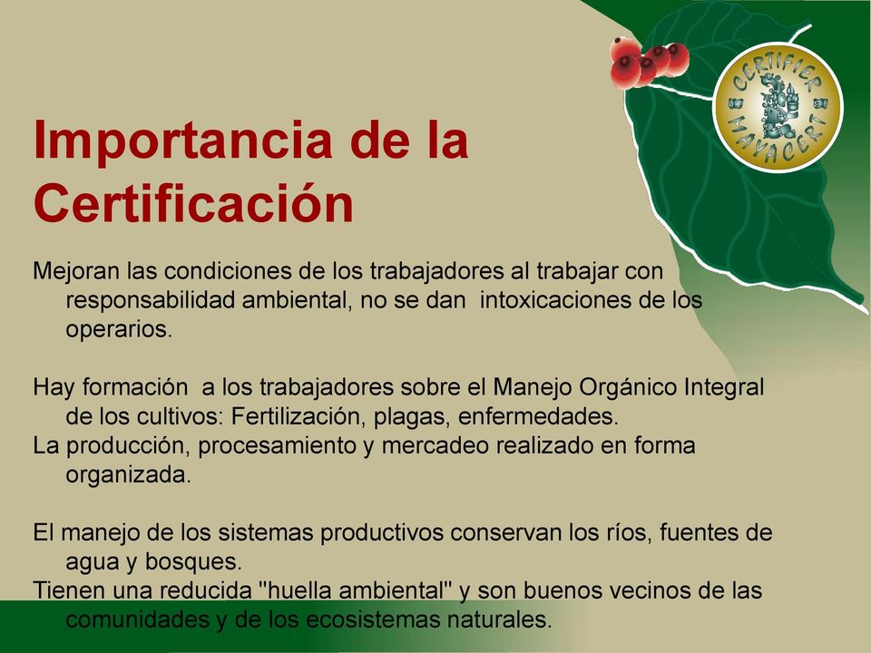 Hay formación a los trabajadores sobre el Manejo Orgánico Integral de los cultivos: Fertilización, plagas, enfermedades.