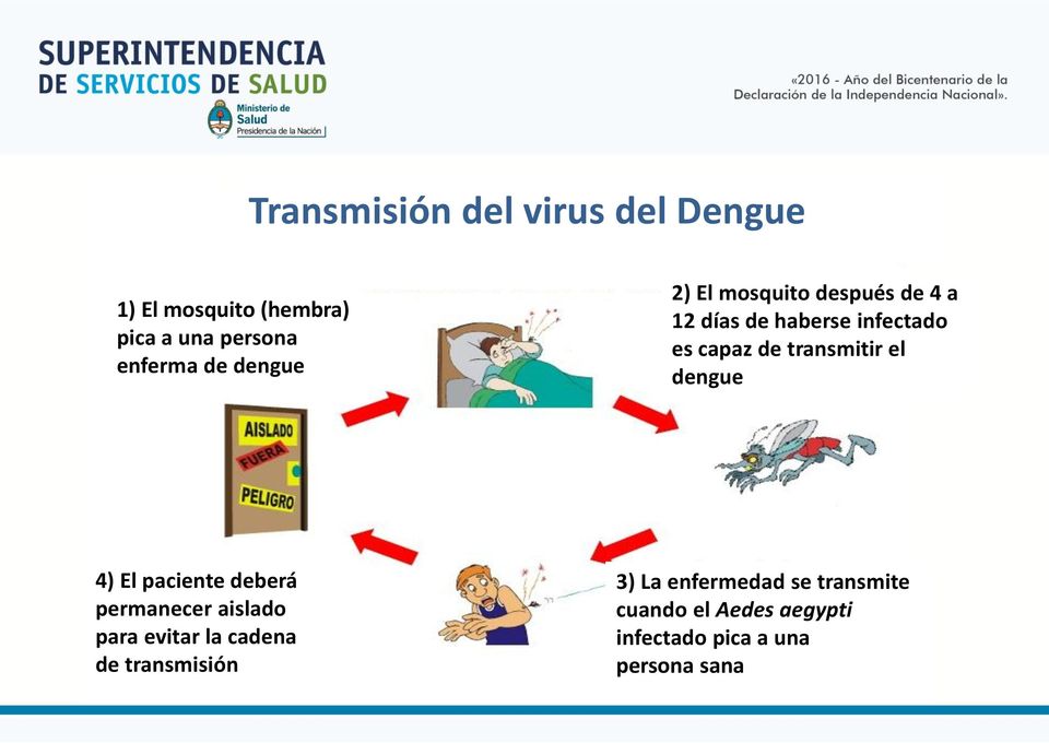 transmitir el dengue 4) El paciente deberá permanecer aislado para evitar la cadena de