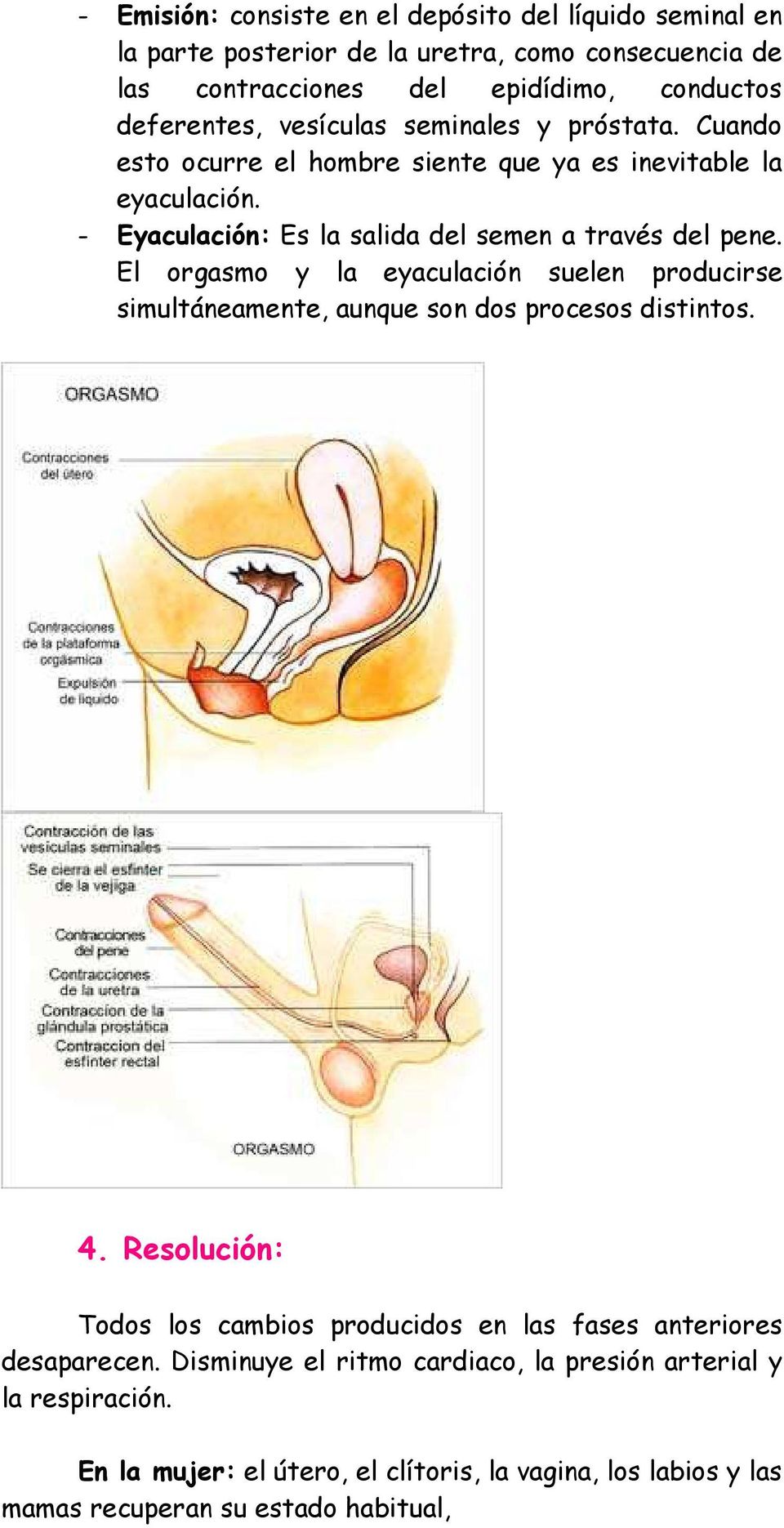 El orgasmo y la eyaculación suelen producirse simultáneamente, aunque son dos procesos distintos. 4.