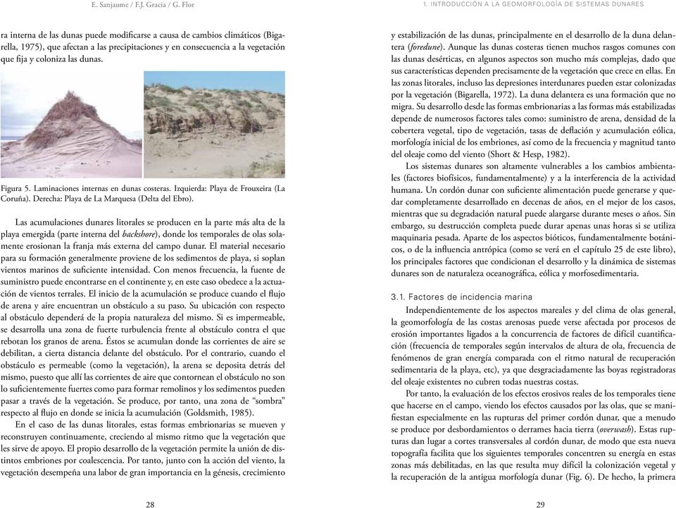 vegetación que fija y coloniza las dunas. Figura 5. Laminaciones internas en dunas costeras. Izquierda: Playa de Frouxeira (La Coruña). Derecha: Playa de La Marquesa (Delta del Ebro).