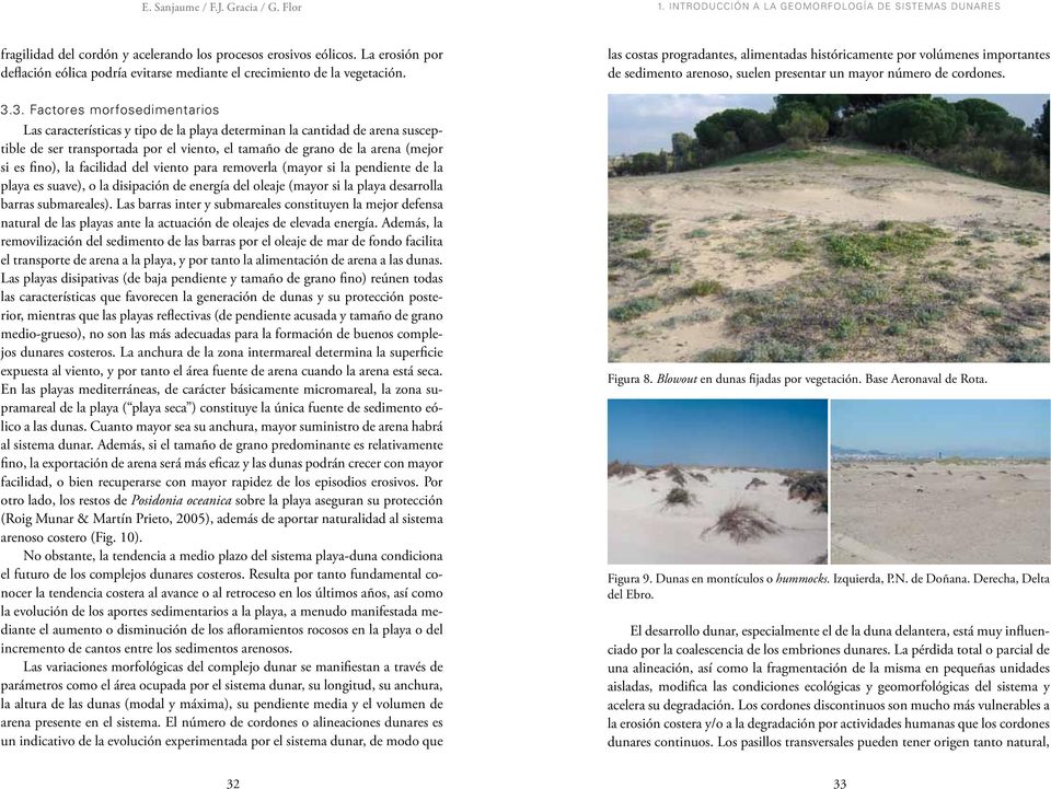 3. Factores morfosedimentarios Las características y tipo de la playa determinan la cantidad de arena susceptible de ser transportada por el viento, el tamaño de grano de la arena (mejor si es fino),