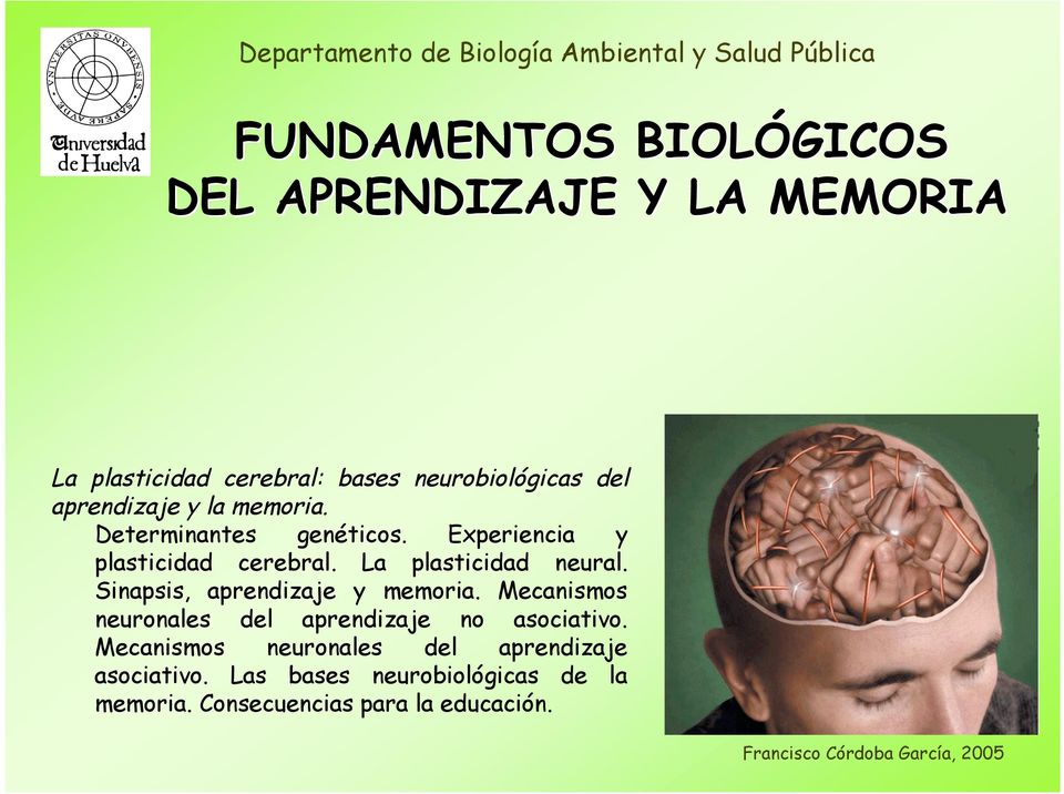 La plasticidad neural. Sinapsis, aprendizaje y memoria. Mecanismos neuronales del aprendizaje no asociativo.