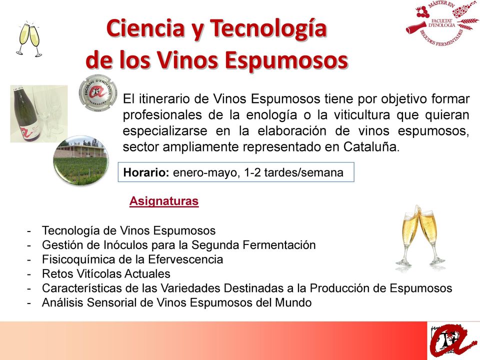 Horario: enero-mayo, 1-2 tardes/semana Asignaturas - Tecnología de Vinos Espumosos - Gestión de Inóculos para la Segunda Fermentación -