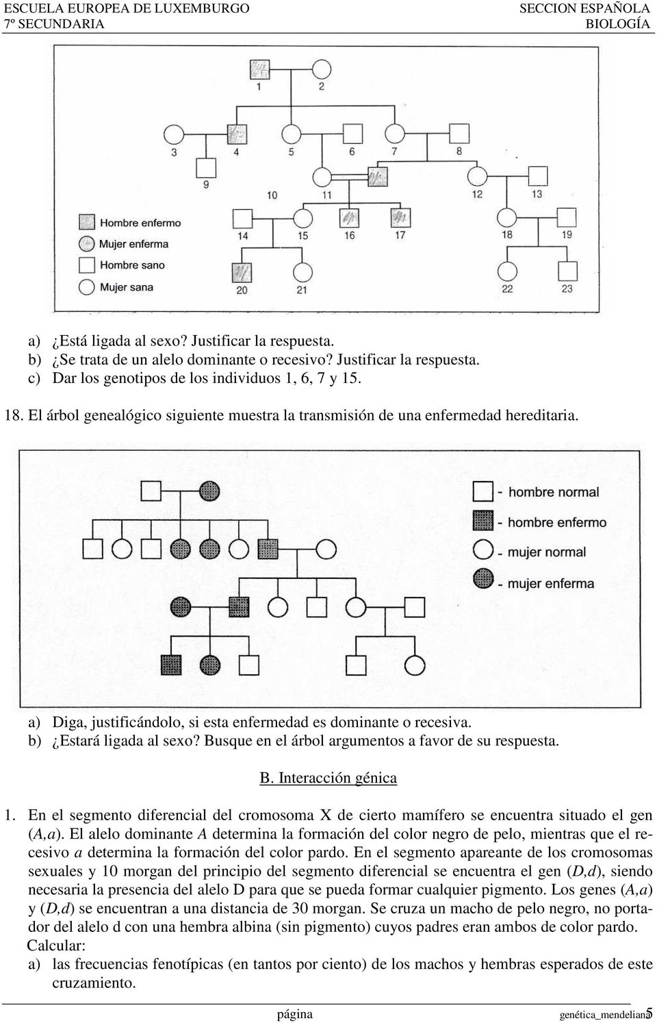 Busque en el árbol argumentos a favor de su respuesta. B. Interacción génica 1. En el segmento diferencial del cromosoma X de cierto mamífero se encuentra situado el gen (A,a).